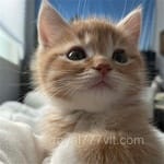 Avatar Guillermo Duarte